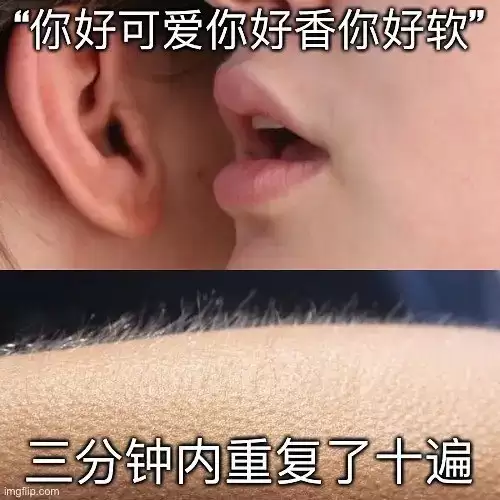 资源预览图