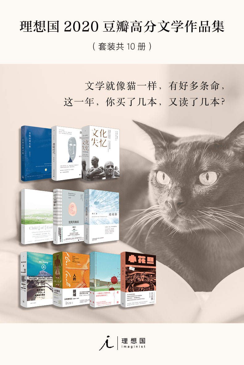 资源预览图