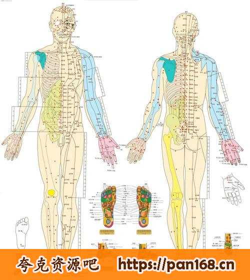 资源预览图