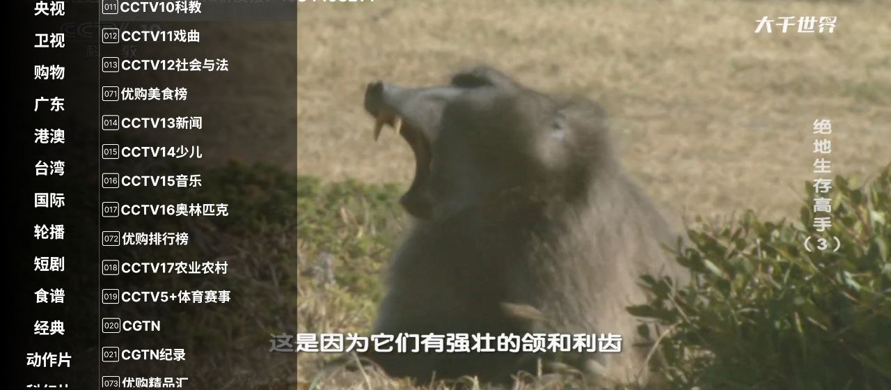资源预览图