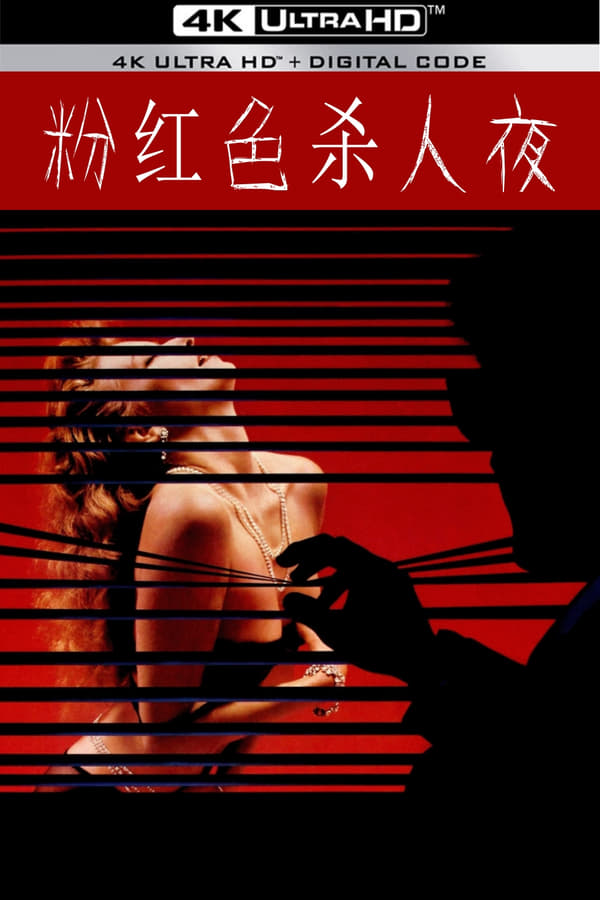 资源预览图