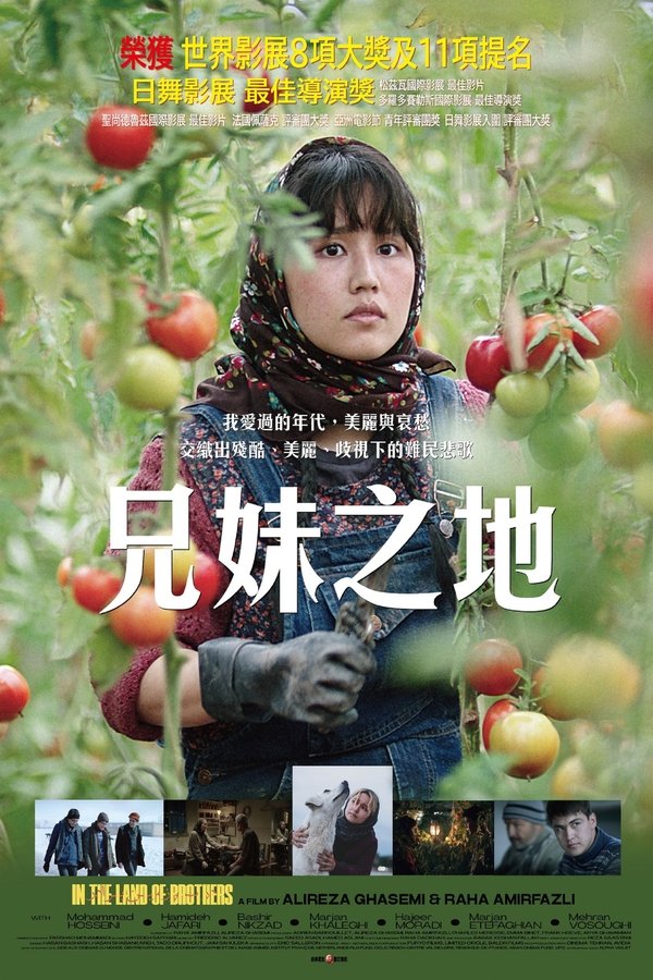 资源预览图