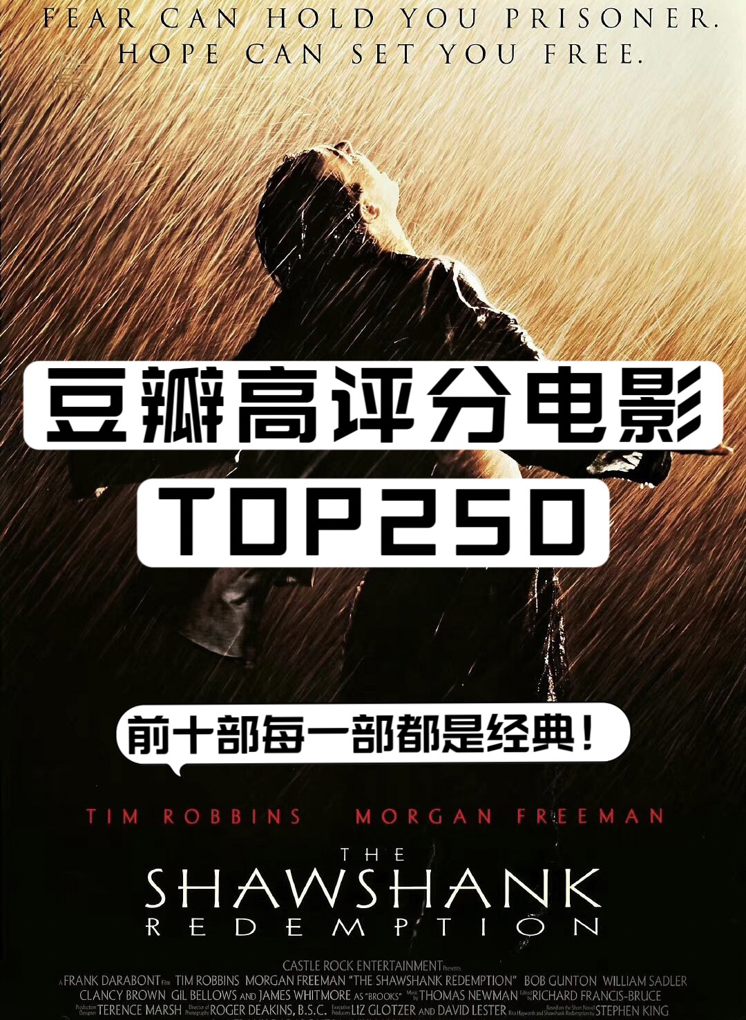 资源预览图