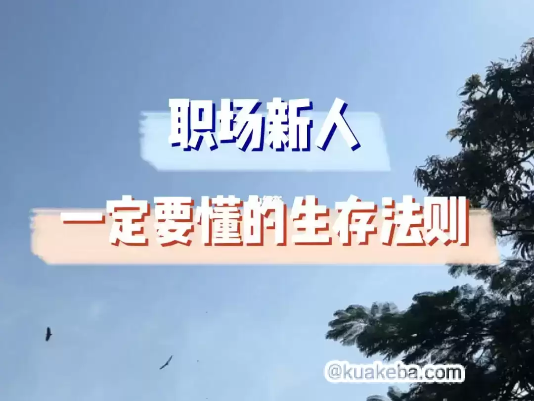 资源预览图