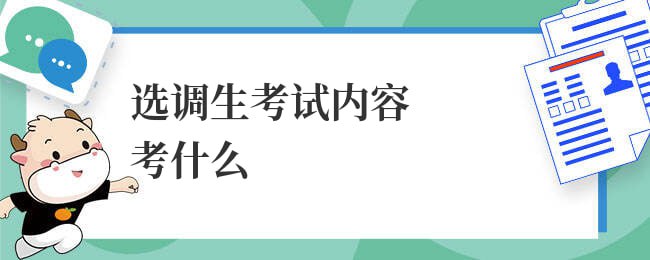 资源预览图