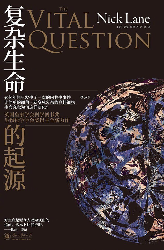 资源预览图