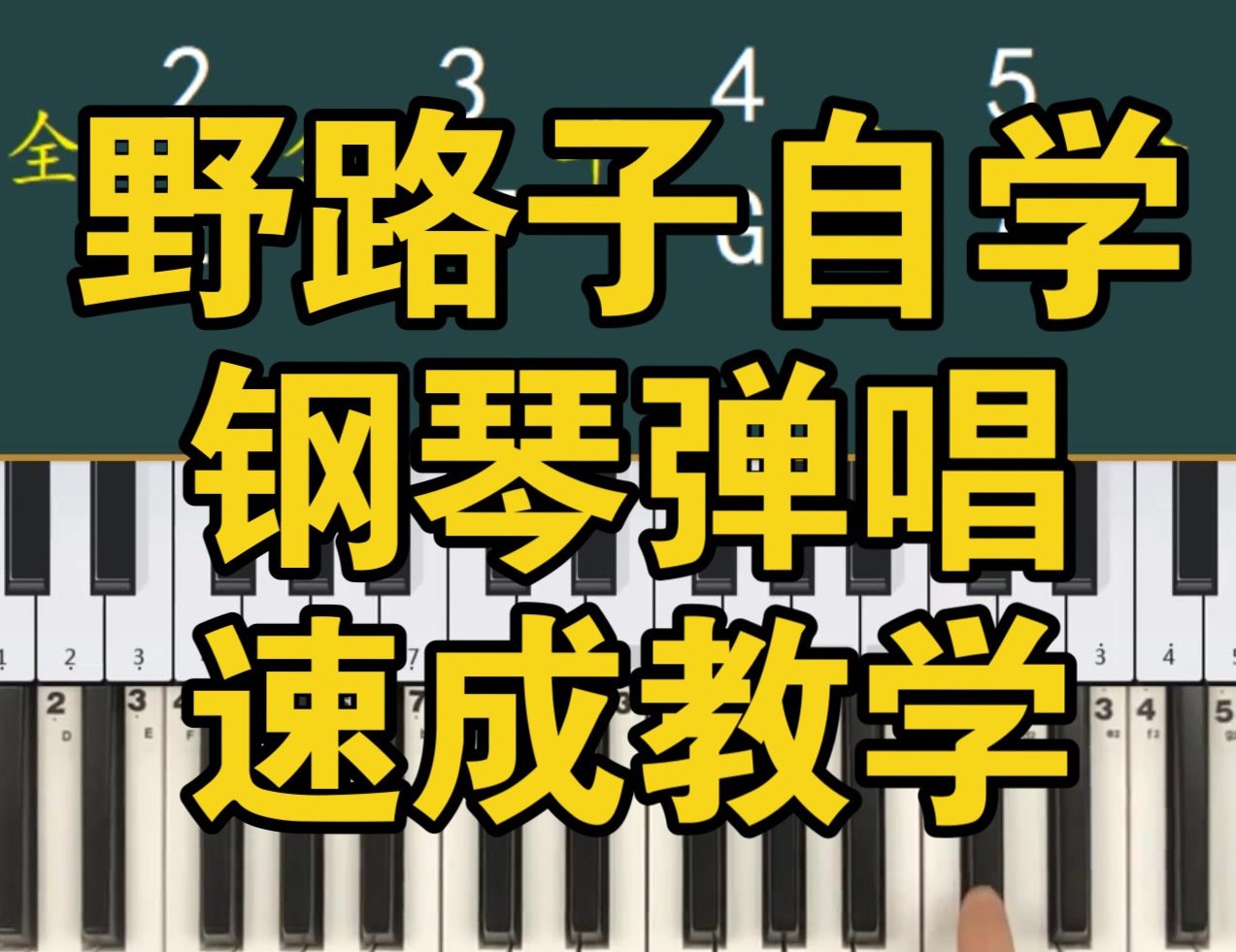 资源预览图