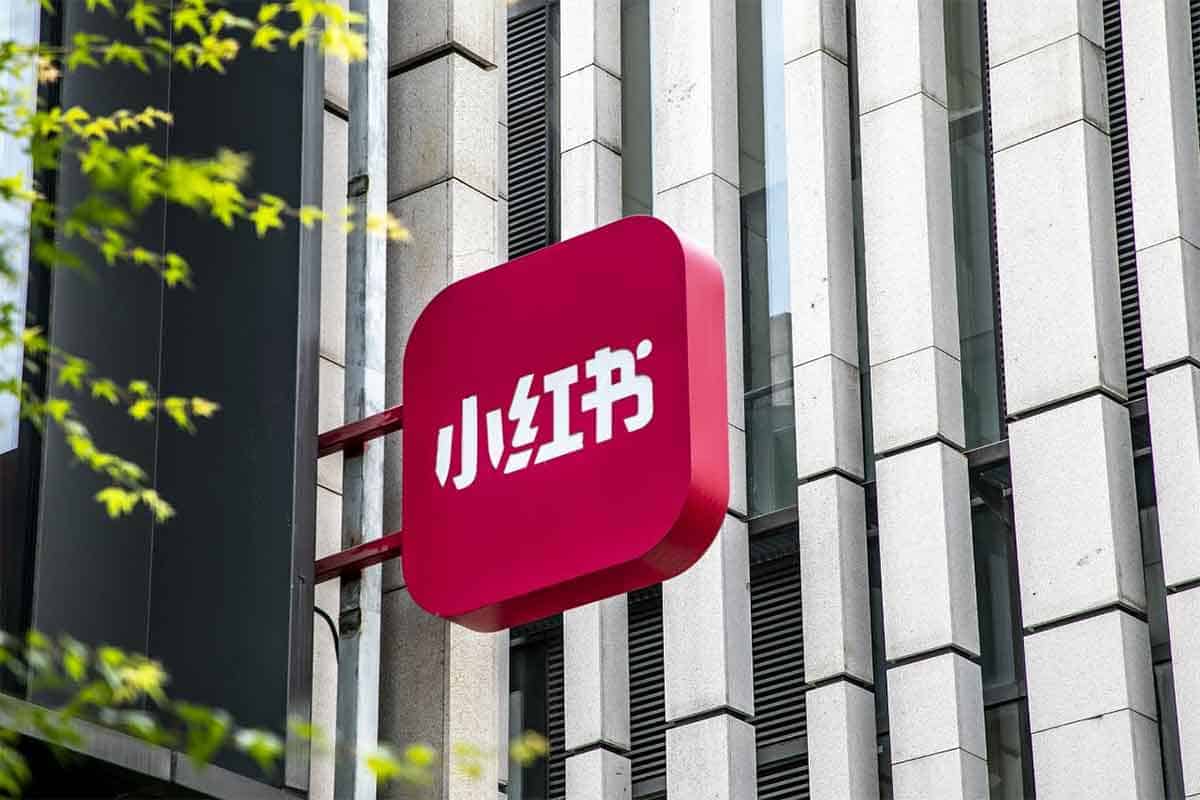 资源预览图