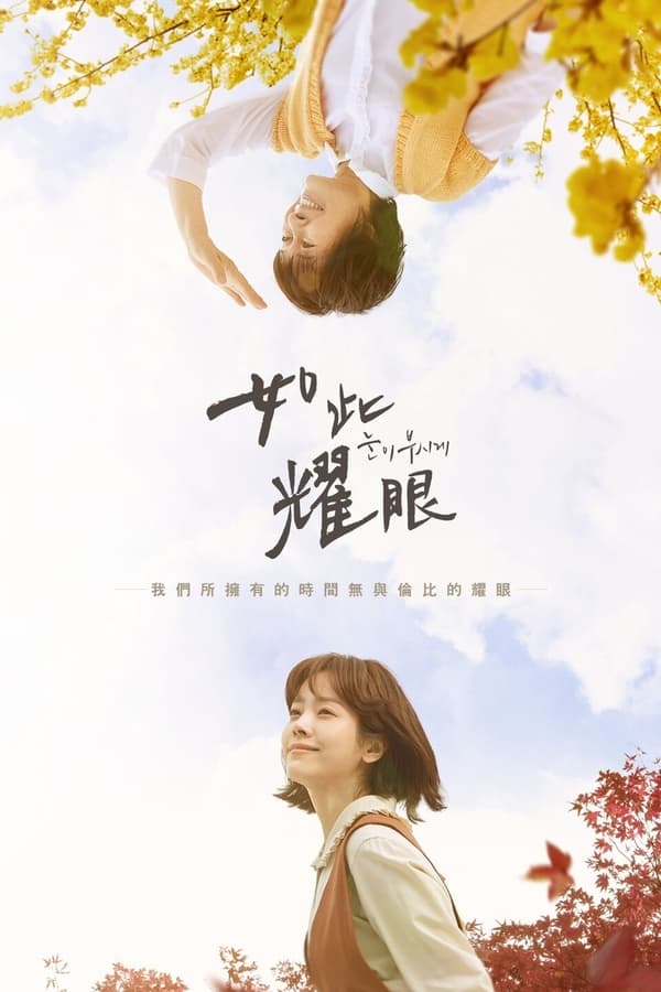 资源预览图