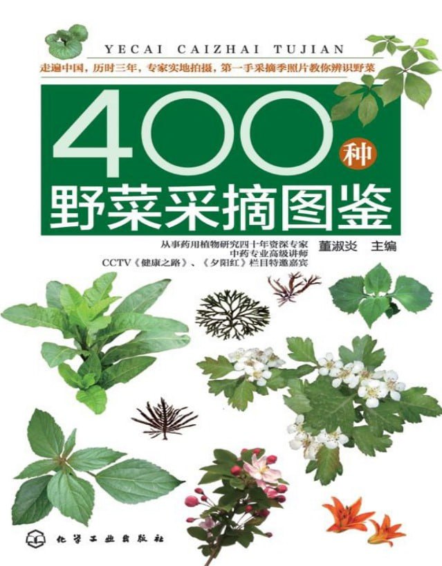 资源预览图