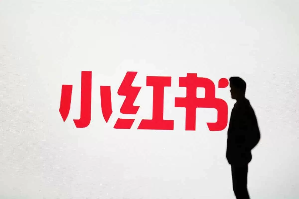 资源预览图