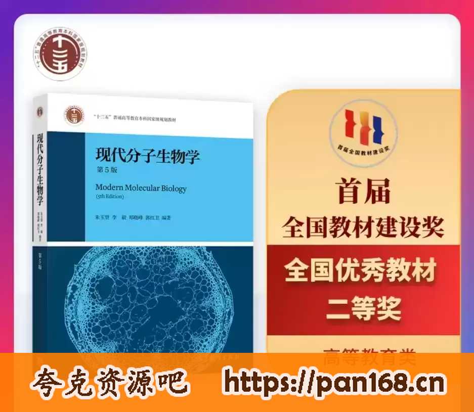 资源预览图