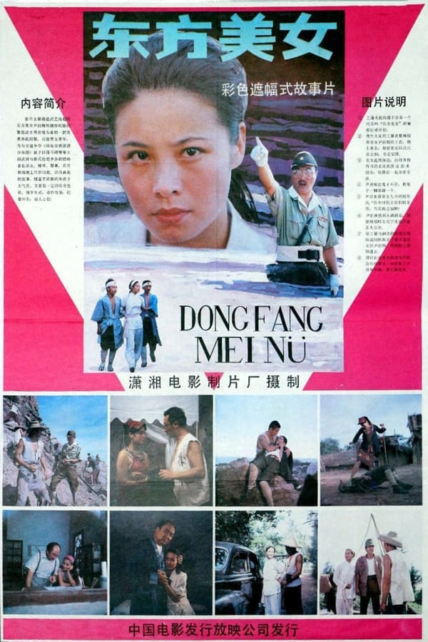 资源预览图