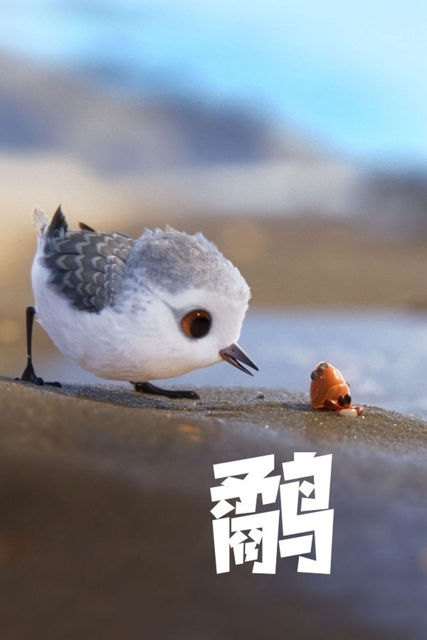 资源预览图