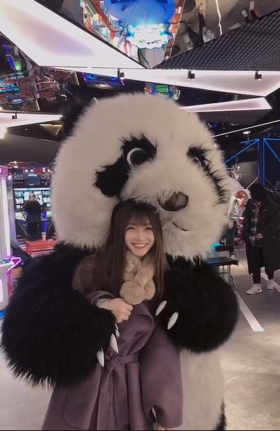 资源预览图