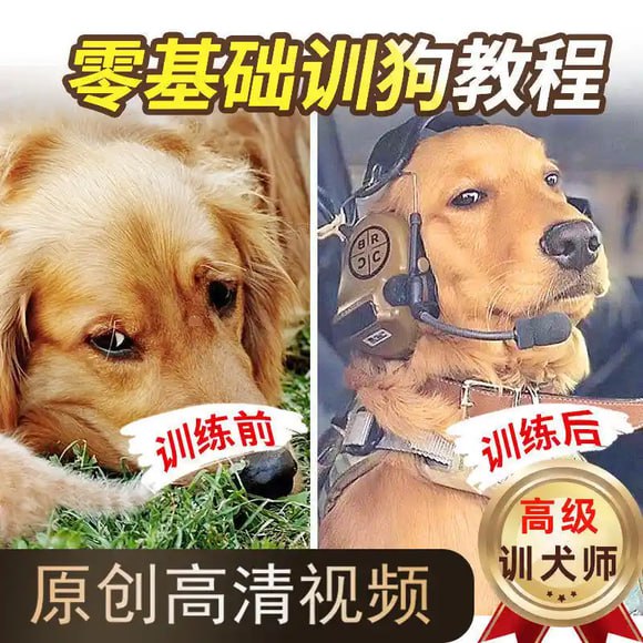 资源预览图