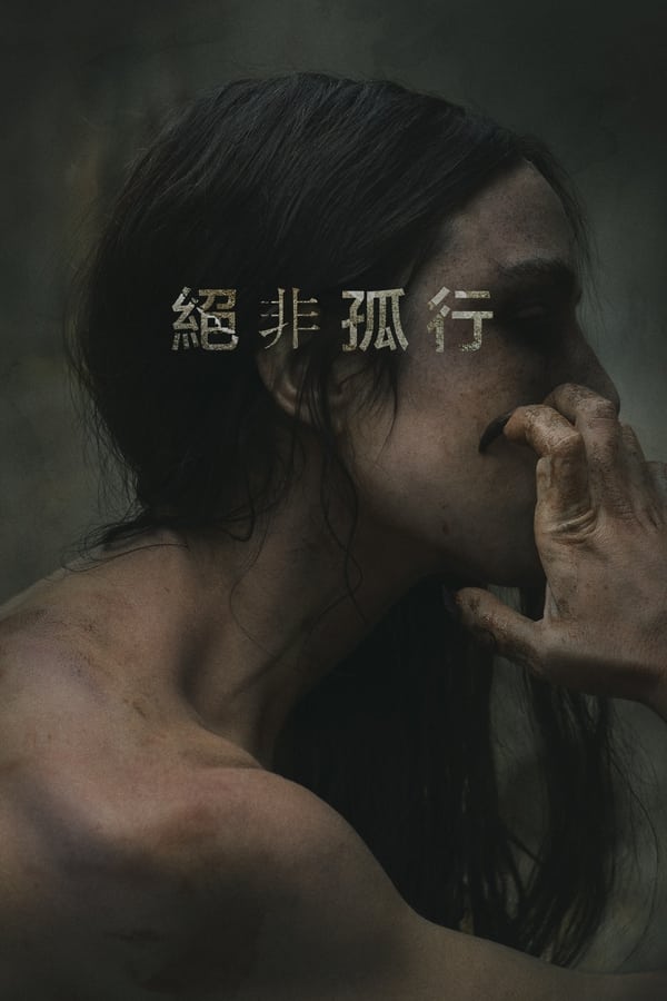 资源预览图