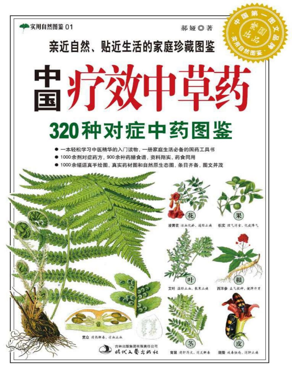 资源预览图