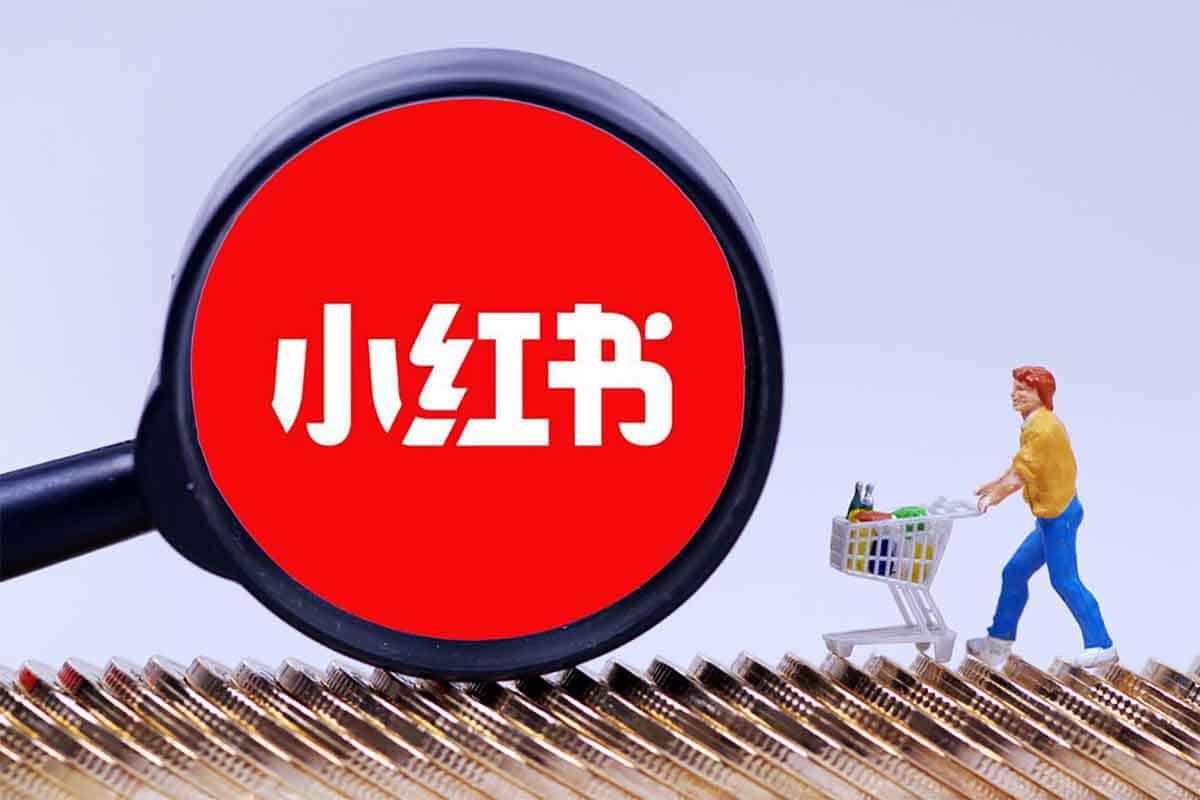 资源预览图