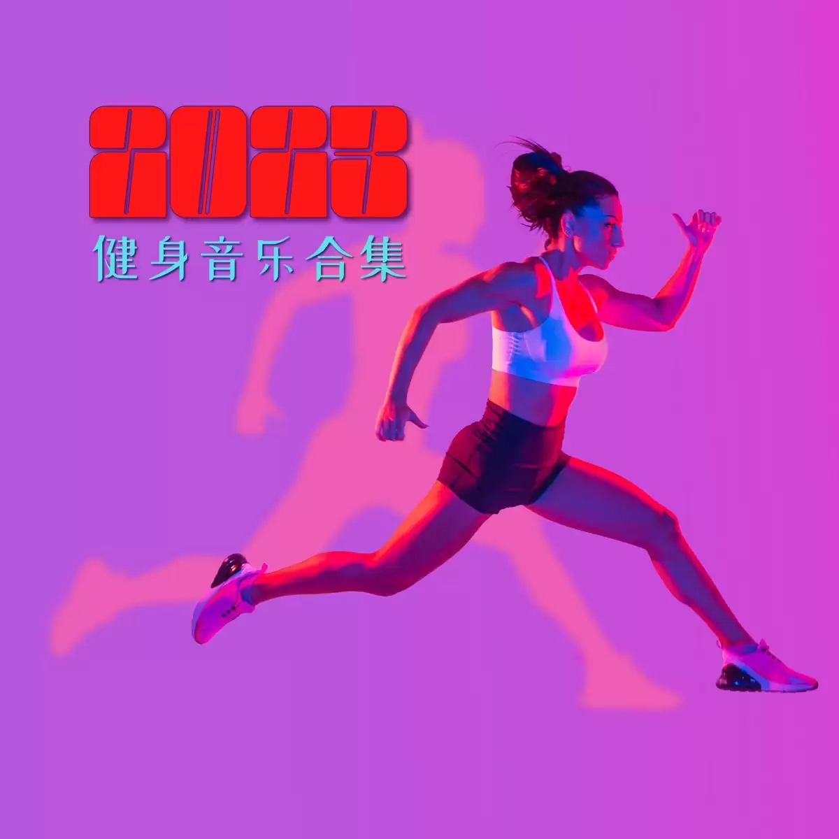 资源预览图