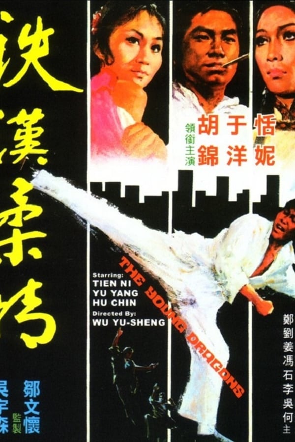 资源预览图