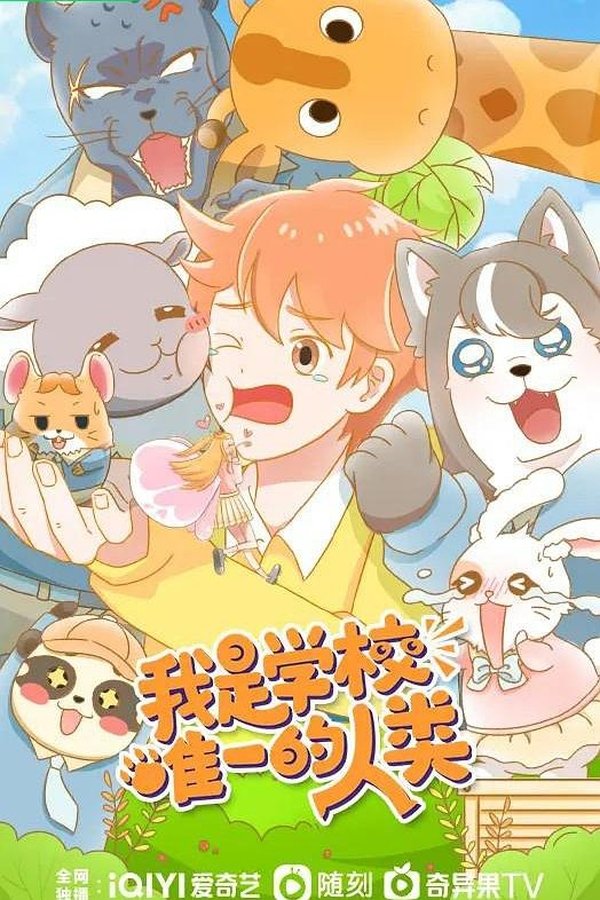 资源预览图