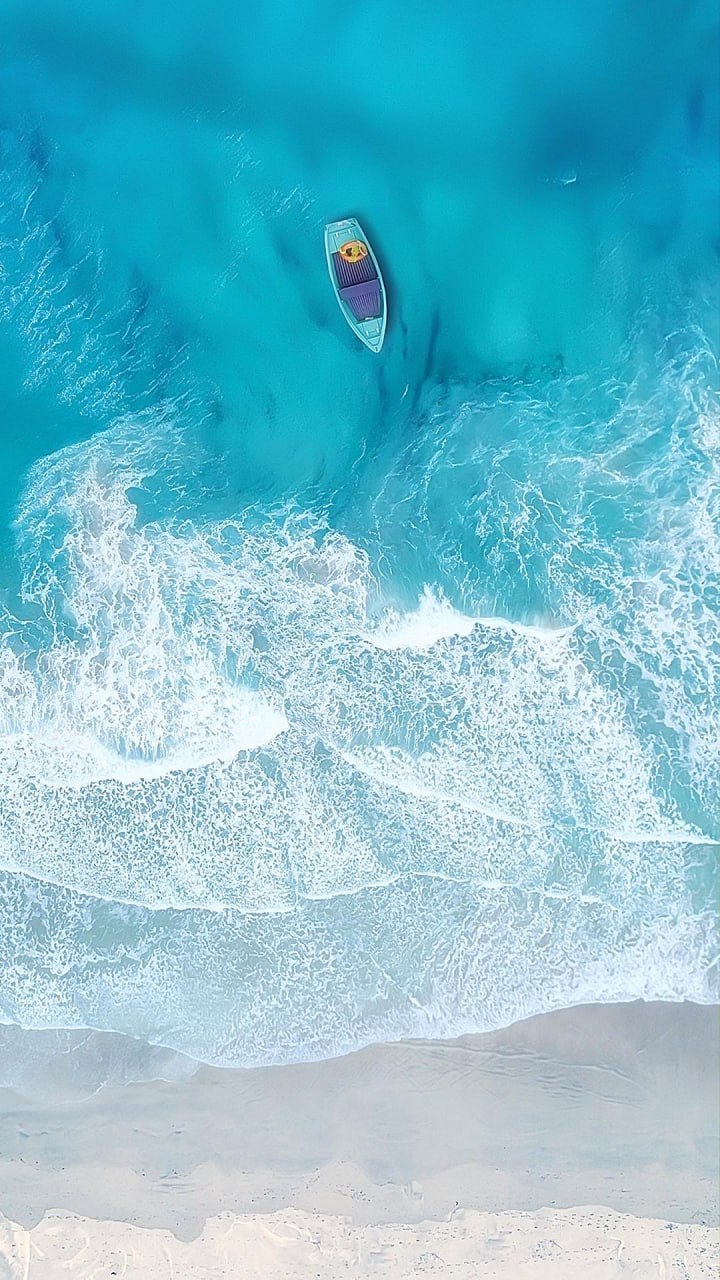 资源预览图