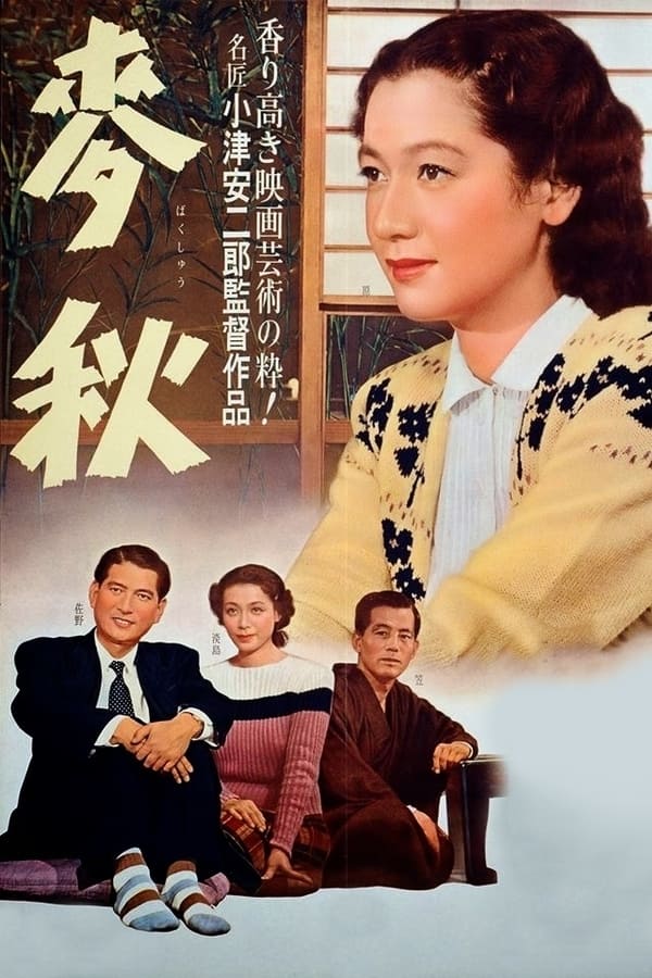 资源预览图