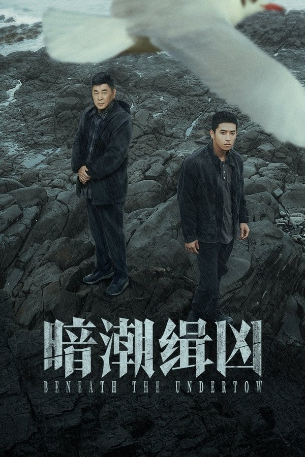 资源预览图
