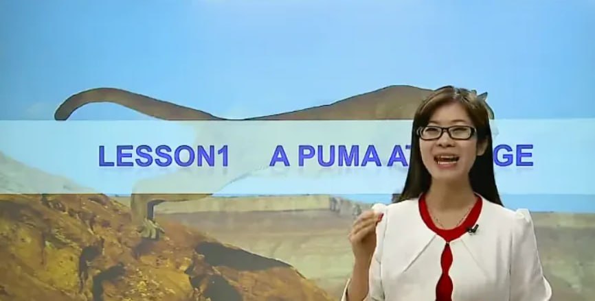 资源预览图