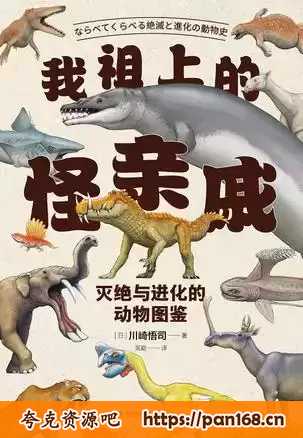 资源预览图
