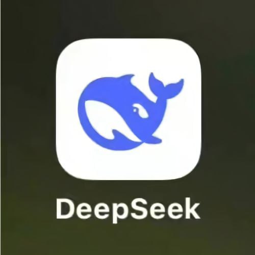 资源预览图