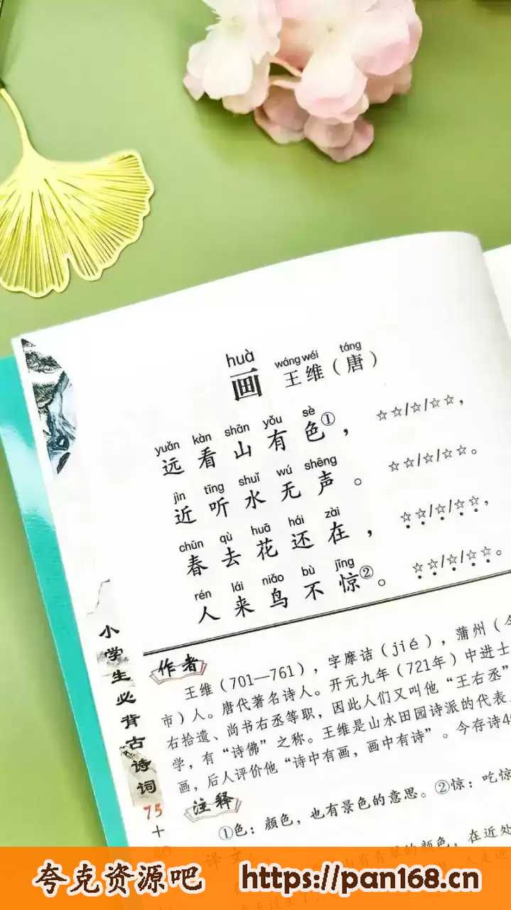 资源预览图