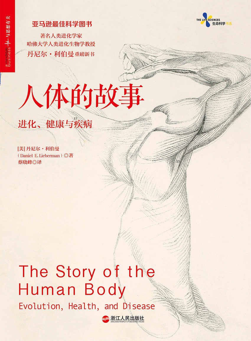 资源预览图