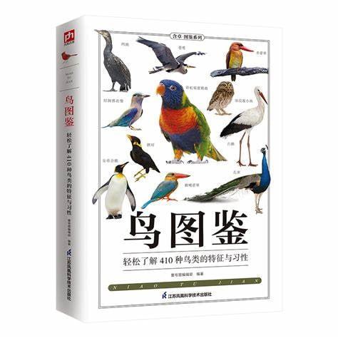 资源预览图