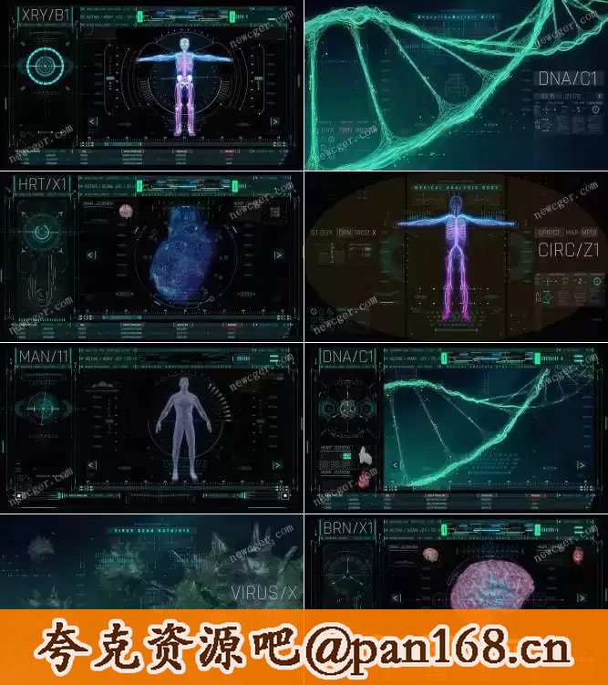 资源预览图